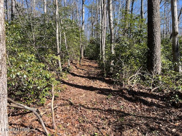 Cliff Park Rd Unit 8, Monterey, TN 38574 - photo 8