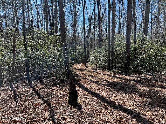 Cliff Park Rd Unit 8, Monterey, TN 38574 - photo 9