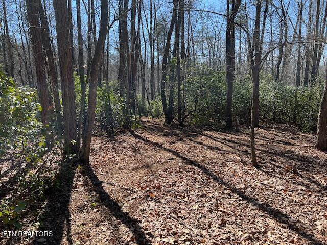 Cliff Park Rd Unit 8, Monterey, TN 38574 - photo 1