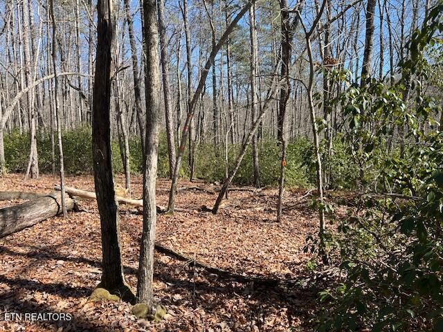 Cliff Park Rd Unit 8, Monterey, TN 38574 - photo 10