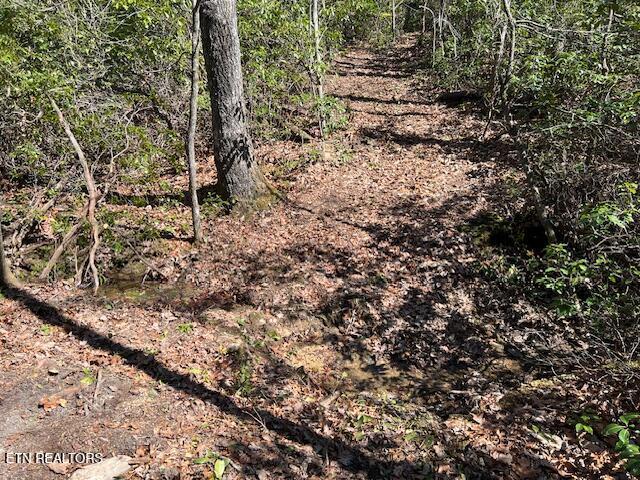 Cliff Park Rd Unit 8, Monterey, TN 38574 - photo 11