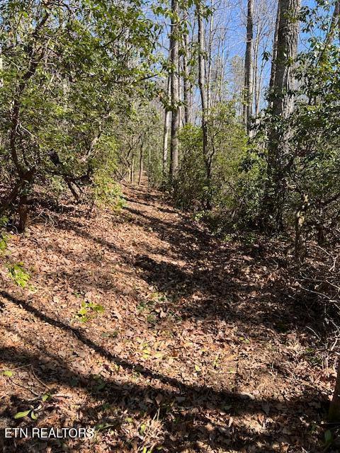 Cliff Park Rd Unit 8, Monterey, TN 38574 - photo 4