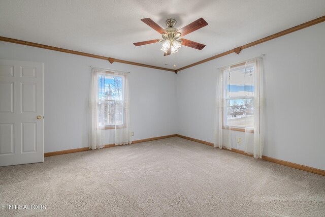 825 E 2nd N St, Morristown, TN 37814 - carpeted empty room featuring ceiling fan, ornamental molding, and baseboards