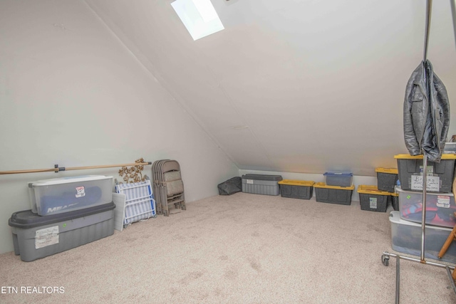 additional living space with lofted ceiling with skylight and carpet flooring