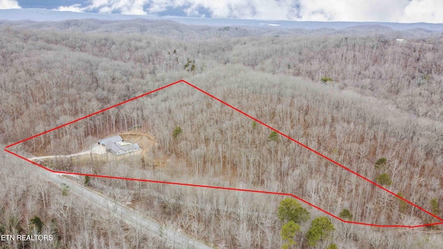 aerial view with a mountain view and a wooded view
