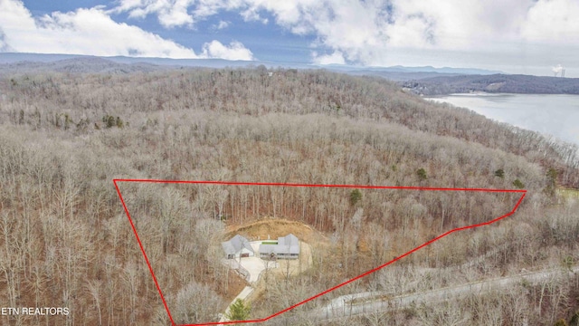birds eye view of property with a view of trees and a water and mountain view