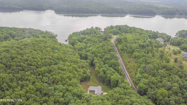 178 Emerald Pointe Cir, Rockwood, TN 37854 - drone / aerial view of a forest and a large body of water
