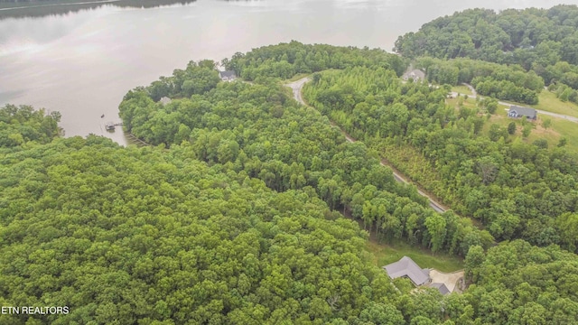 178 Emerald Pointe Cir, Rockwood, TN 37854 - view of property location with a large body of water and a heavily wooded area