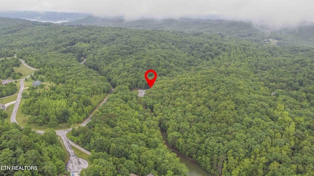 178 Emerald Pointe Cir, Rockwood, TN 37854 - aerial view of property and surrounding area with a forest