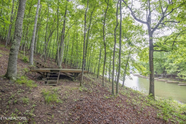 178 Emerald Pointe Cir, Rockwood, TN 37854 - view of yard featuring a water view and a view of trees