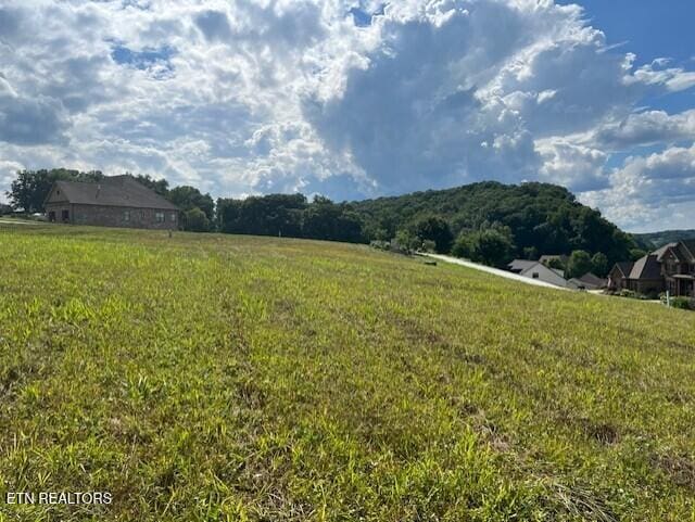 530 River Rd, Loudon TN, 37774 land for sale