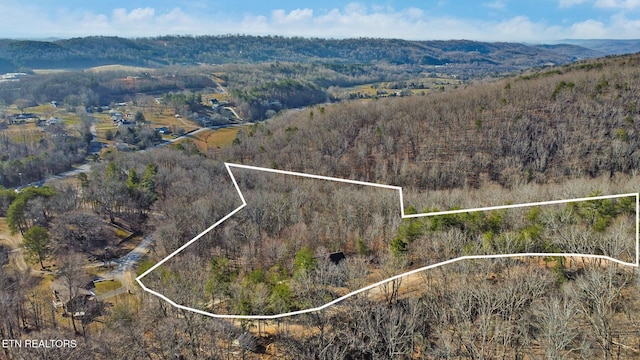 birds eye view of property featuring a mountain view and a wooded view