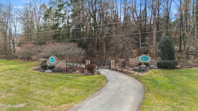 view of community featuring driveway and a yard