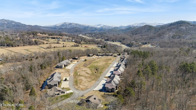 birds eye view of property featuring a mountain view