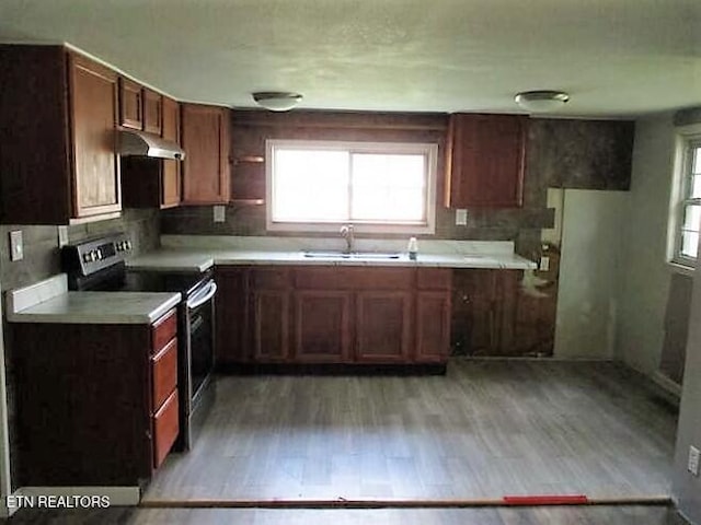 kitchen featuring stainless steel electric range oven, light countertops, light wood-style floors, a sink, and under cabinet range hood