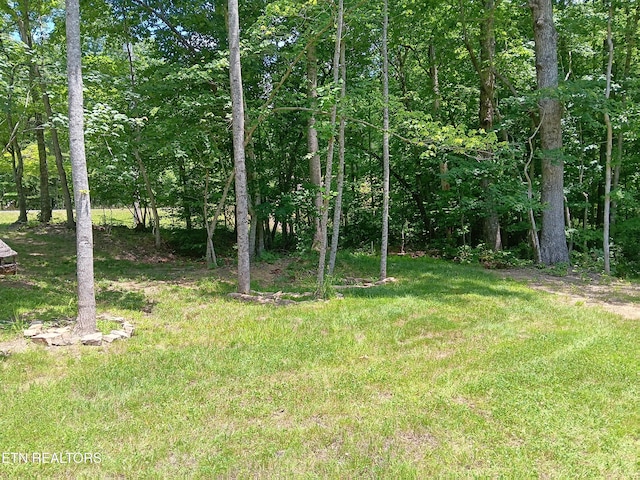 373 Cumberland Cove Rd, Monterey, TN 38574 - photo 26