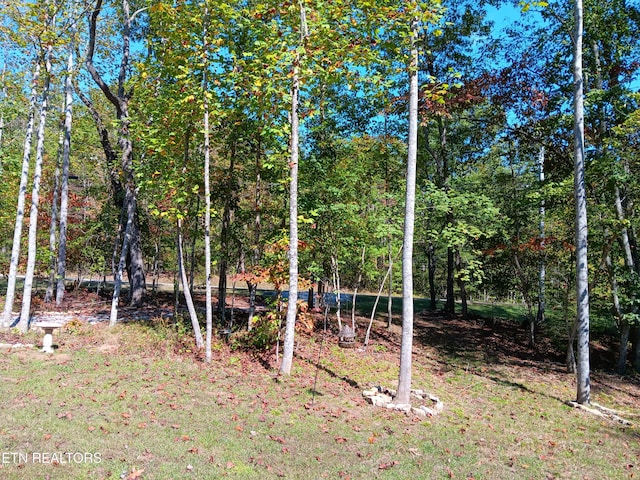 373 Cumberland Cove Rd, Monterey, TN 38574 - photo 27