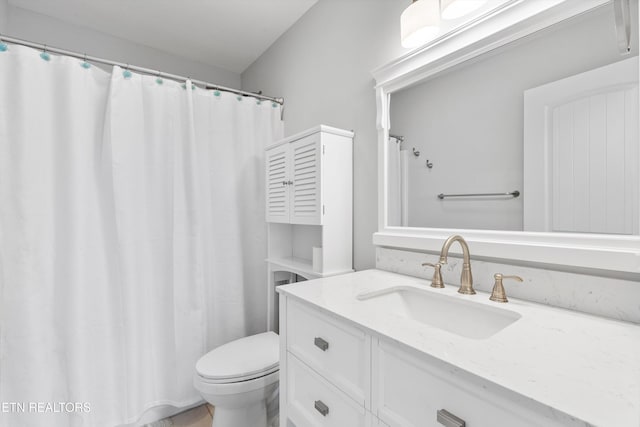 bathroom with toilet and vanity