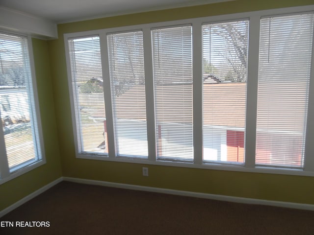 interior details featuring carpet flooring and baseboards