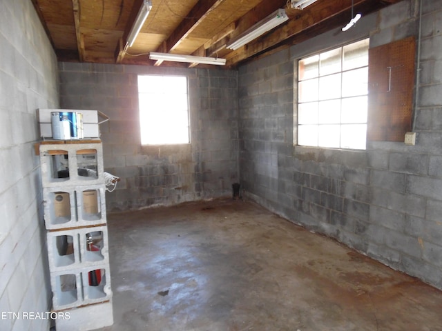 basement featuring concrete block wall