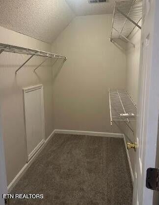 spacious closet featuring carpet floors and vaulted ceiling