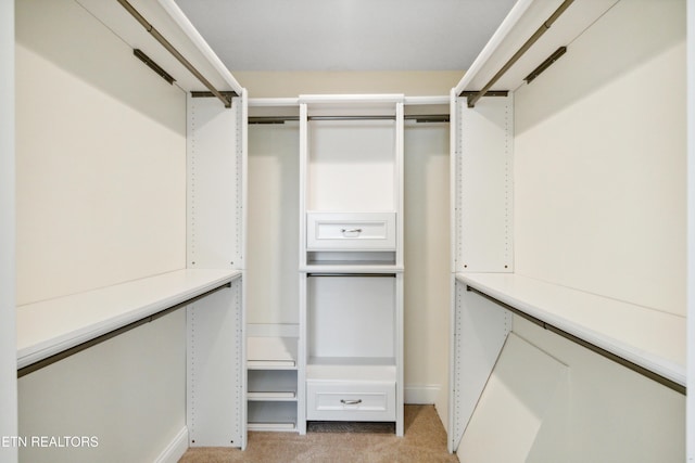 walk in closet with light carpet