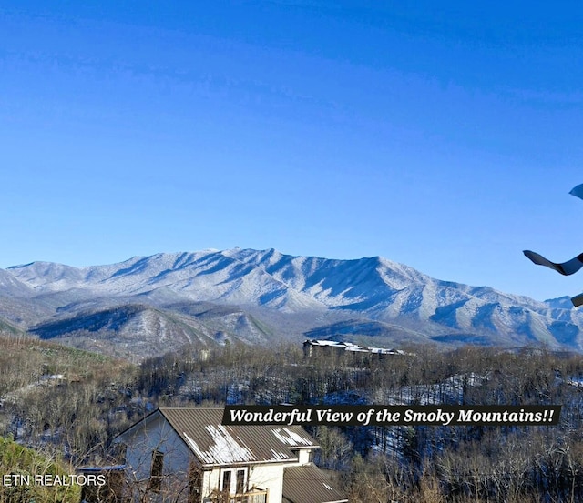 view of mountain feature