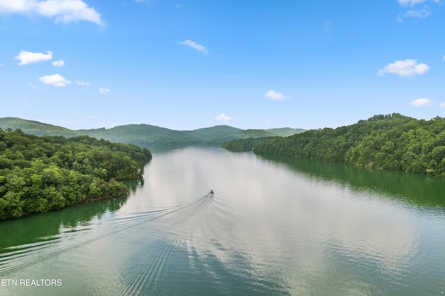 property view of water featuring a mountain view and a view of trees