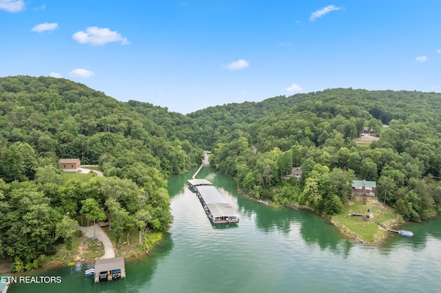 drone / aerial view with a water view and a forest view