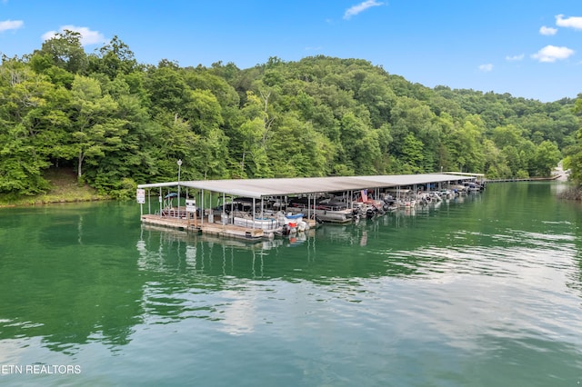 view of dock featuring a water view, boat lift, and a wooded view