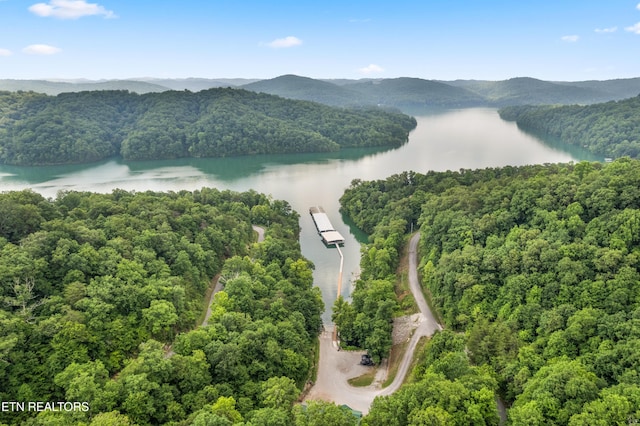 drone / aerial view featuring a water and mountain view and a view of trees