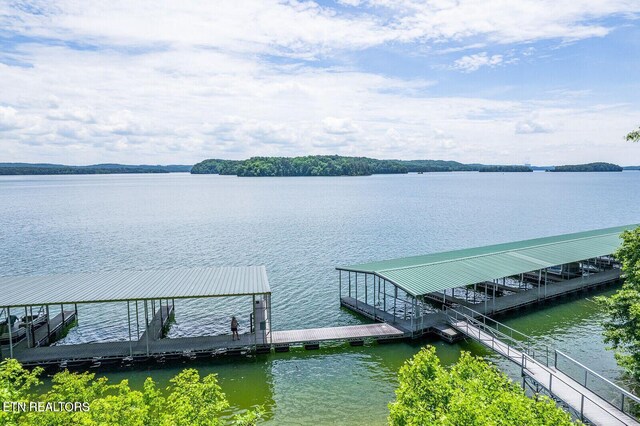 350 River Run Trl, Spring City, TN 37381 - photo 9