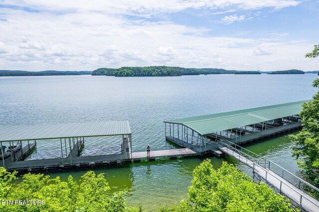 350 River Run Trl, Spring City, TN 37381 - photo 10