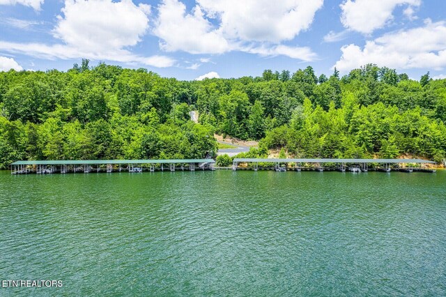 350 River Run Trl, Spring City, TN 37381 - photo 11