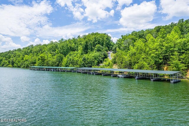 350 River Run Trl, Spring City, TN 37381 - photo 12