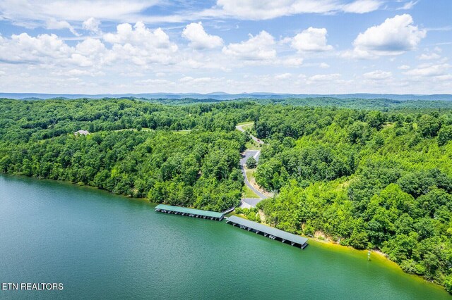 350 River Run Trl, Spring City, TN 37381 - photo 13