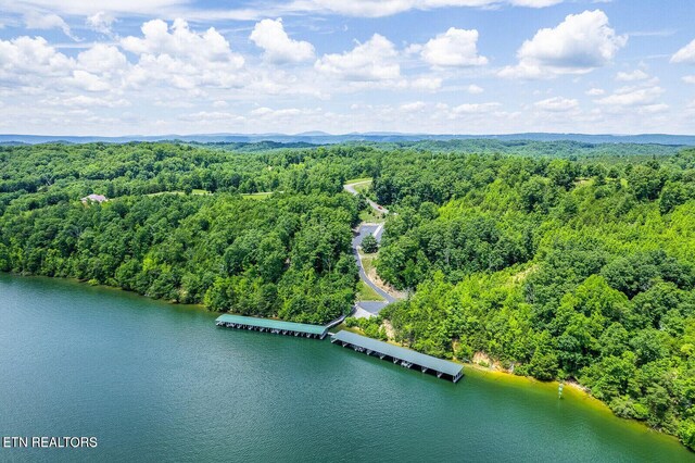 350 River Run Trl, Spring City, TN 37381 - photo 14