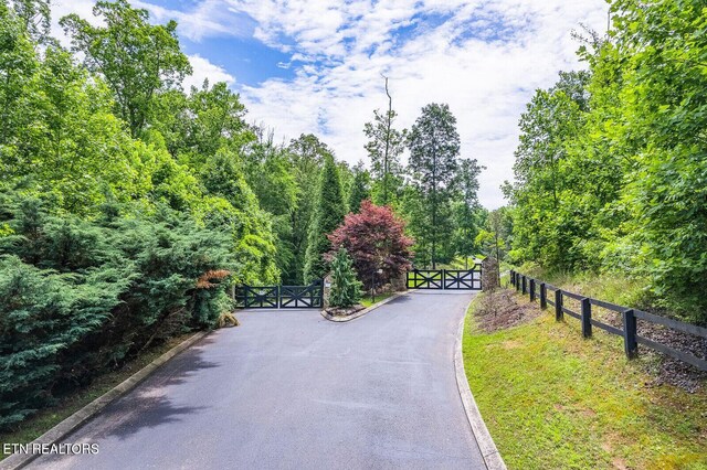 350 River Run Trl, Spring City, TN 37381 - photo 15