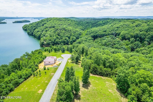 350 River Run Trl, Spring City, TN 37381 - photo 1