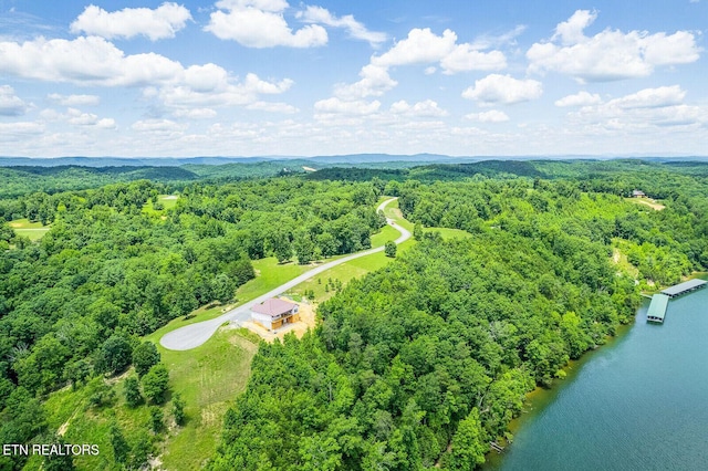 350 River Run Trl, Spring City, TN 37381 - photo 3