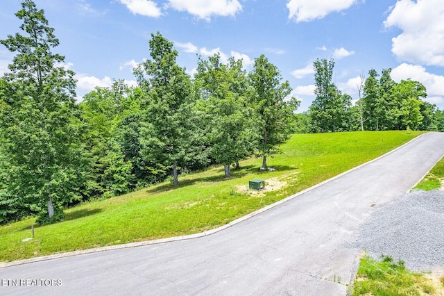 350 River Run Trl, Spring City, TN 37381 - photo 4