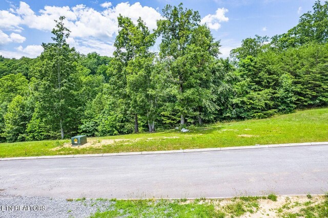 350 River Run Trl, Spring City, TN 37381 - photo 19