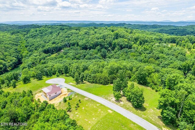 350 River Run Trl, Spring City, TN 37381 - photo 21