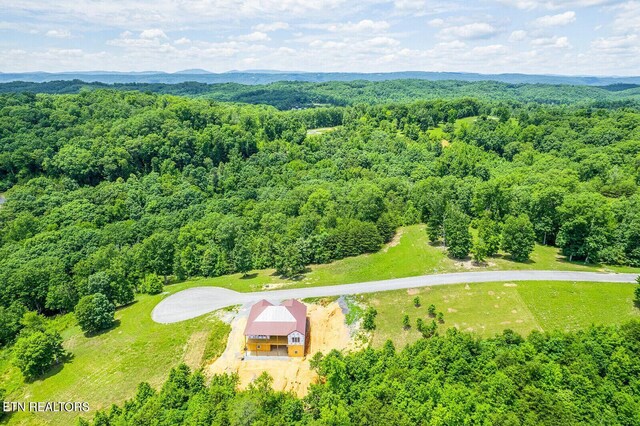 350 River Run Trl, Spring City, TN 37381 - photo 22