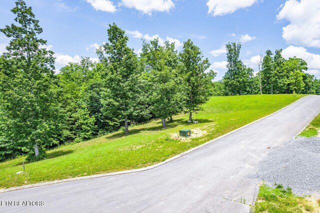 350 River Run Trl, Spring City, TN 37381 - photo 24