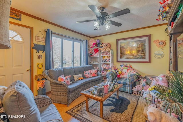 living area with light wood finished floors, ceiling fan, ornamental molding, and a textured ceiling