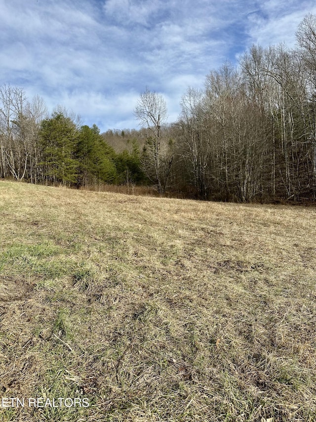 Mullins Ln, Sunbright TN, 37872 land for sale