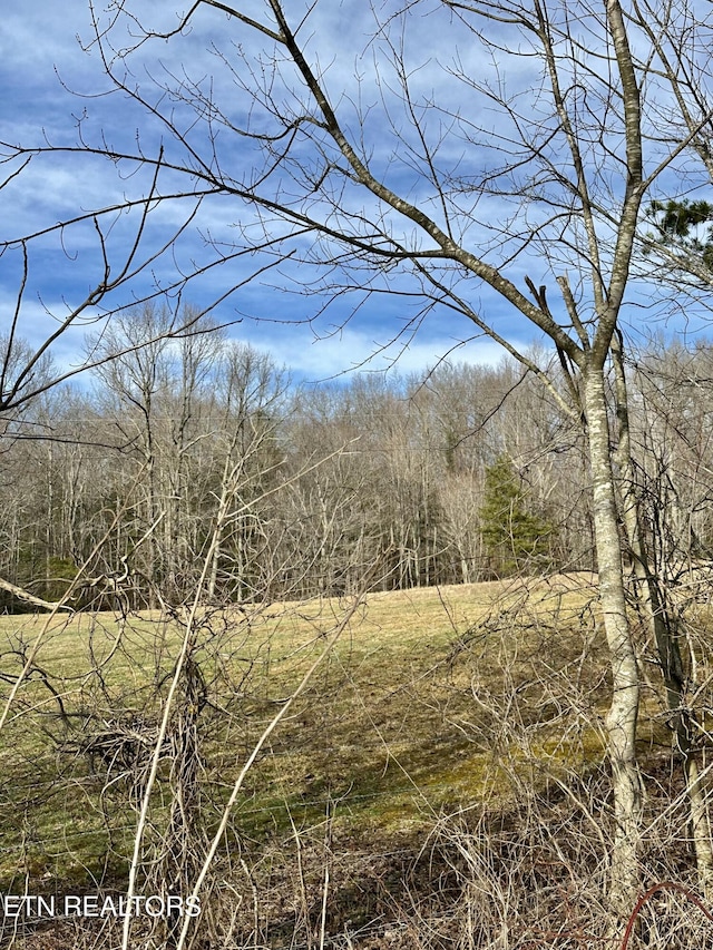 Listing photo 3 for Mullins Ln, Sunbright TN 37872