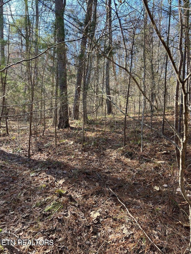 Listing photo 2 for LOT157 Laurel Lake Cir, Madisonville TN 37354