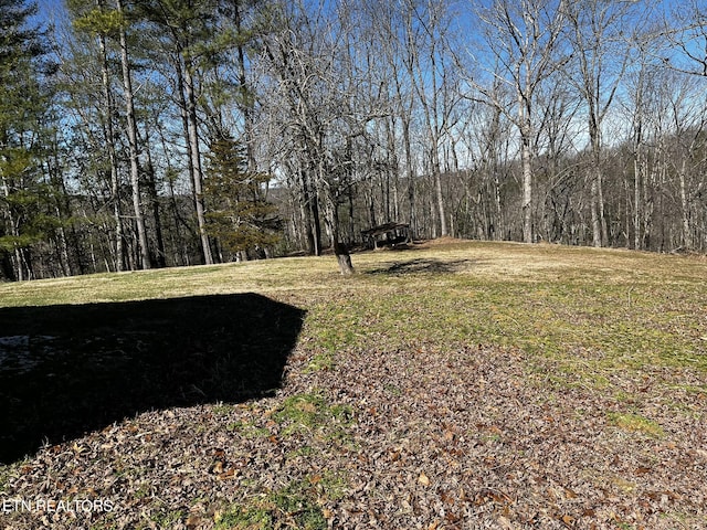 view of yard featuring a wooded view